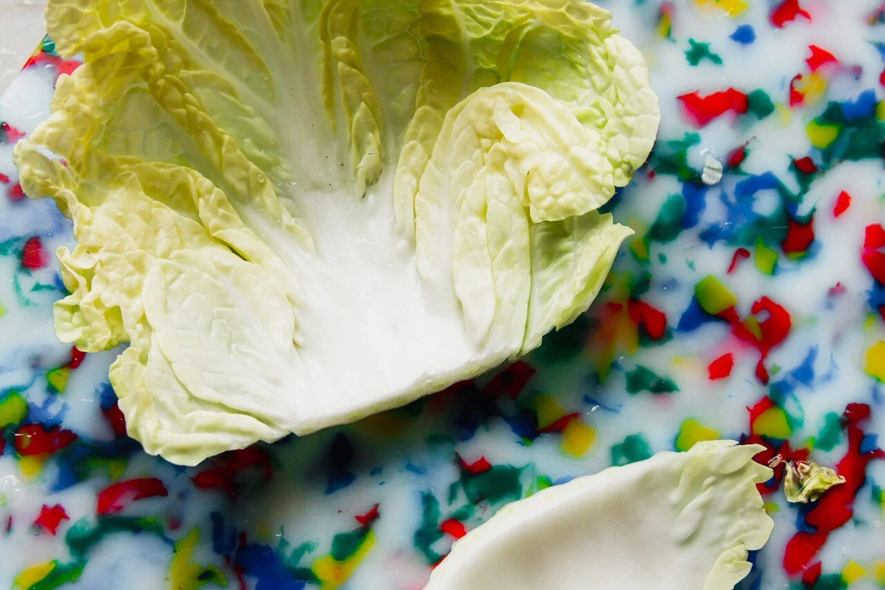 Cabbage leaf with base cut off