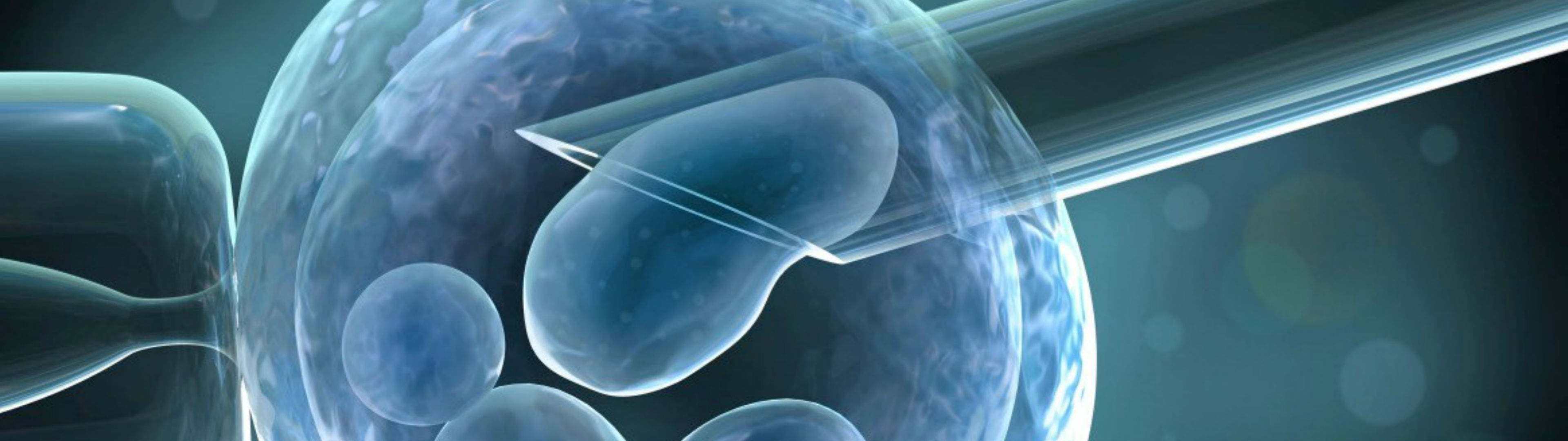 IVF and IUI UNC Fertility North Carolina