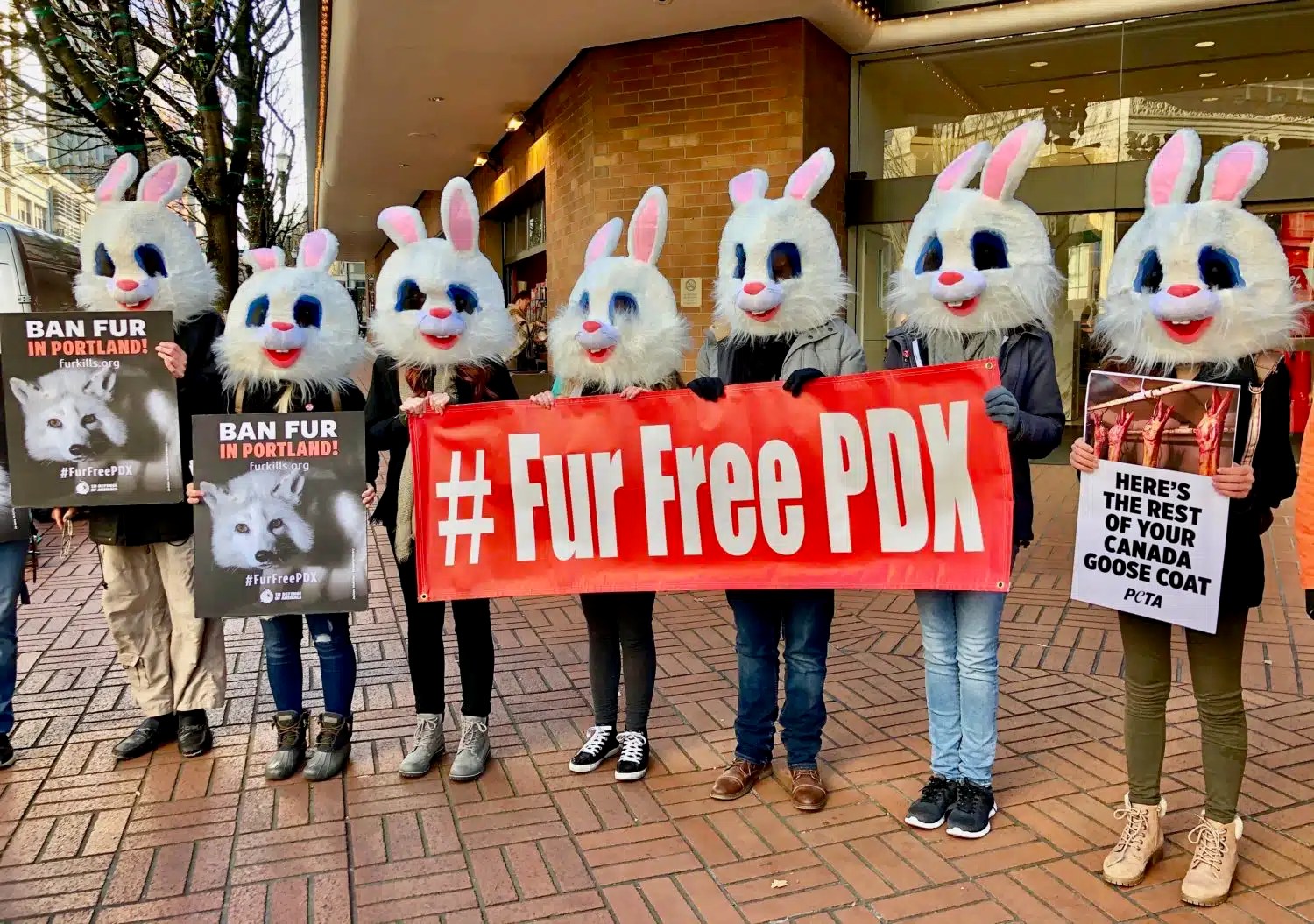 Bunnies Want Fur Banned In Portland, Already!! UnchainedTV
