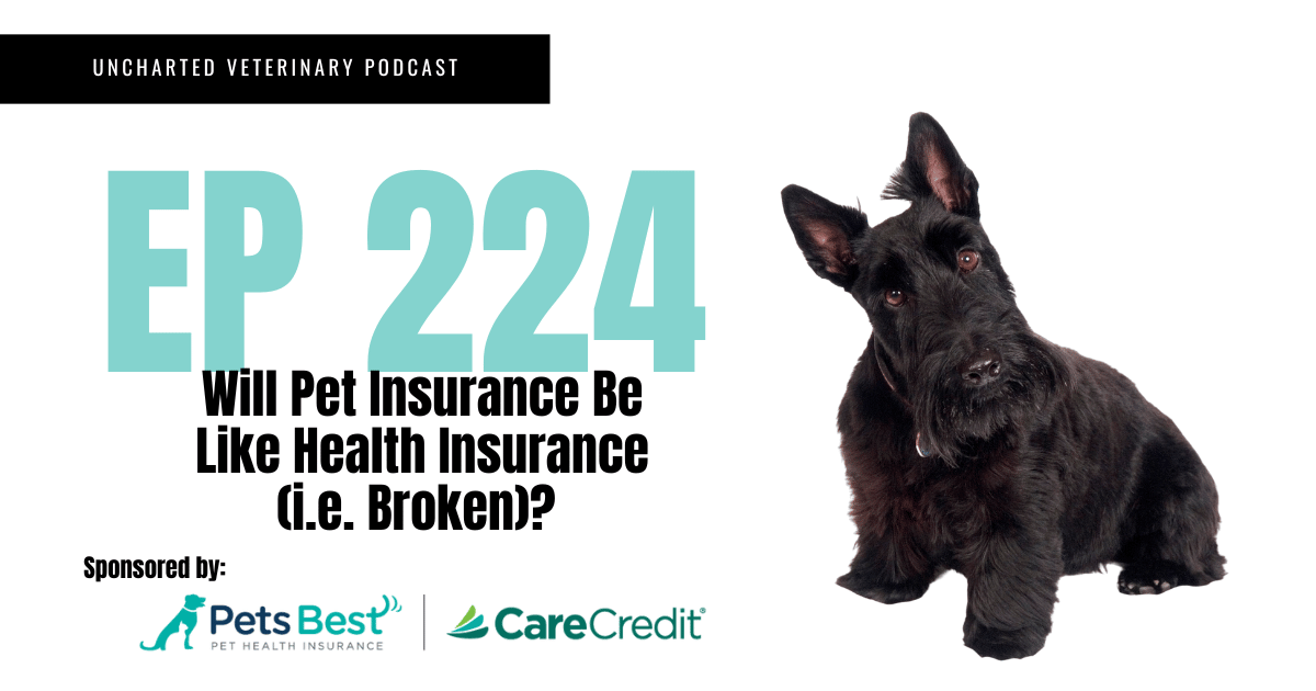 Should You Get Pet Insurance For Your Dog
