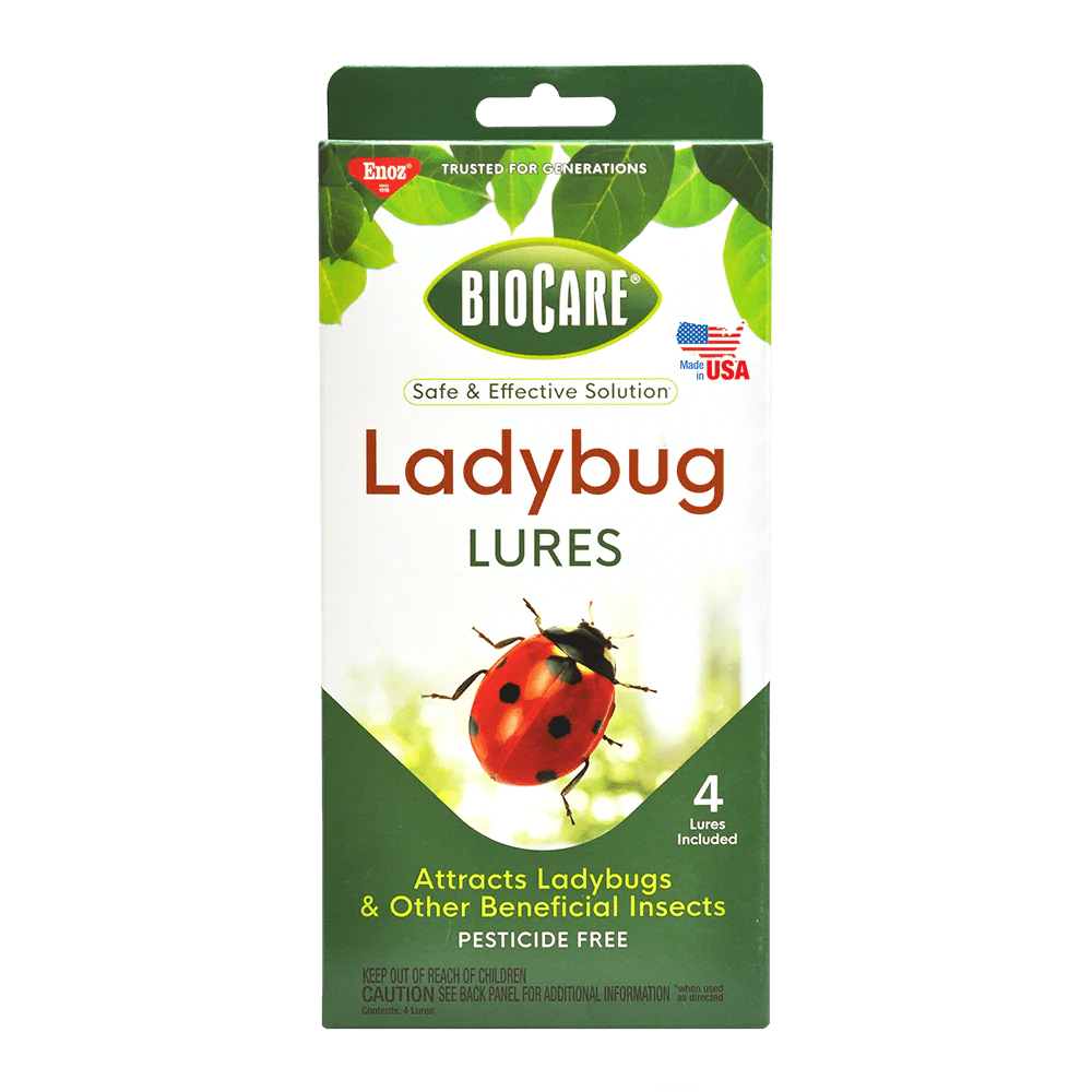 Ladybug Lures Uncle Jim S Worm Farm Hot Sex Picture