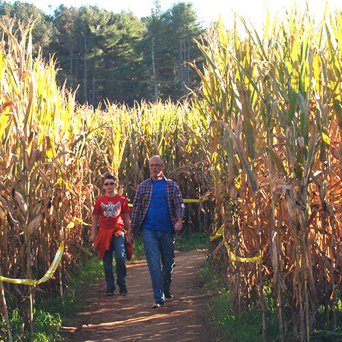 CornMaze2 Uncle Shuck's Corn Maze and Pumpkin Patch