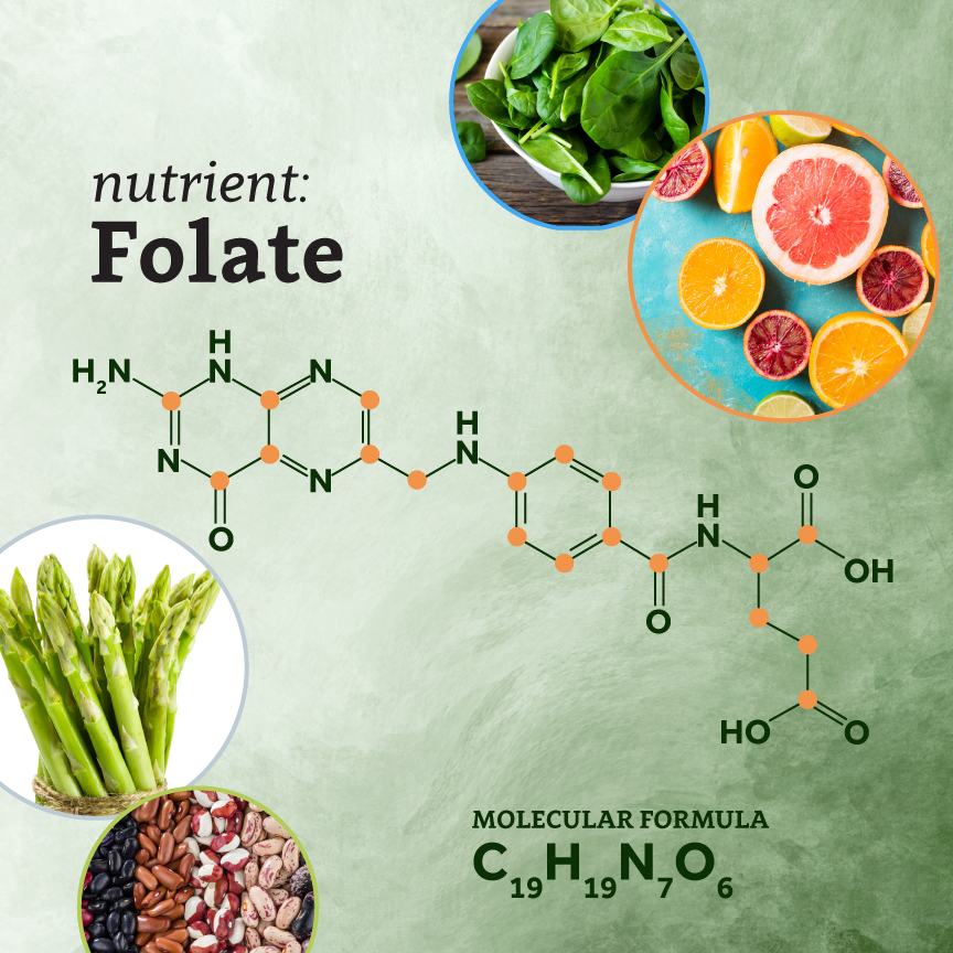 Folate is Essential, But Don’t Overdo It UNC NRI