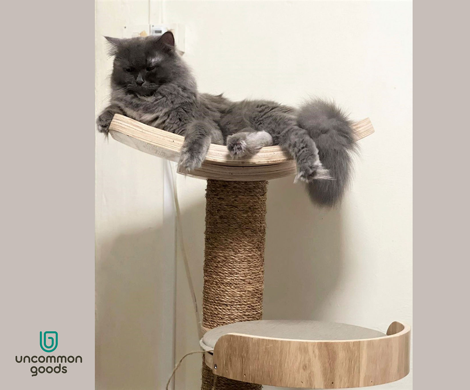 Dawn's Duo Cat Tree for 2 Cats