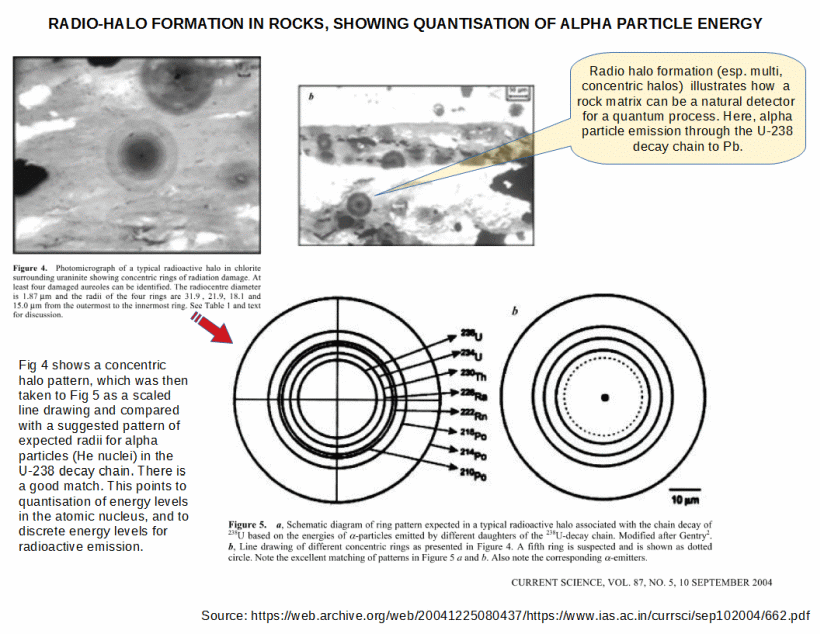 What Is Special About A Radioactive Cat Math Answers CatWalls