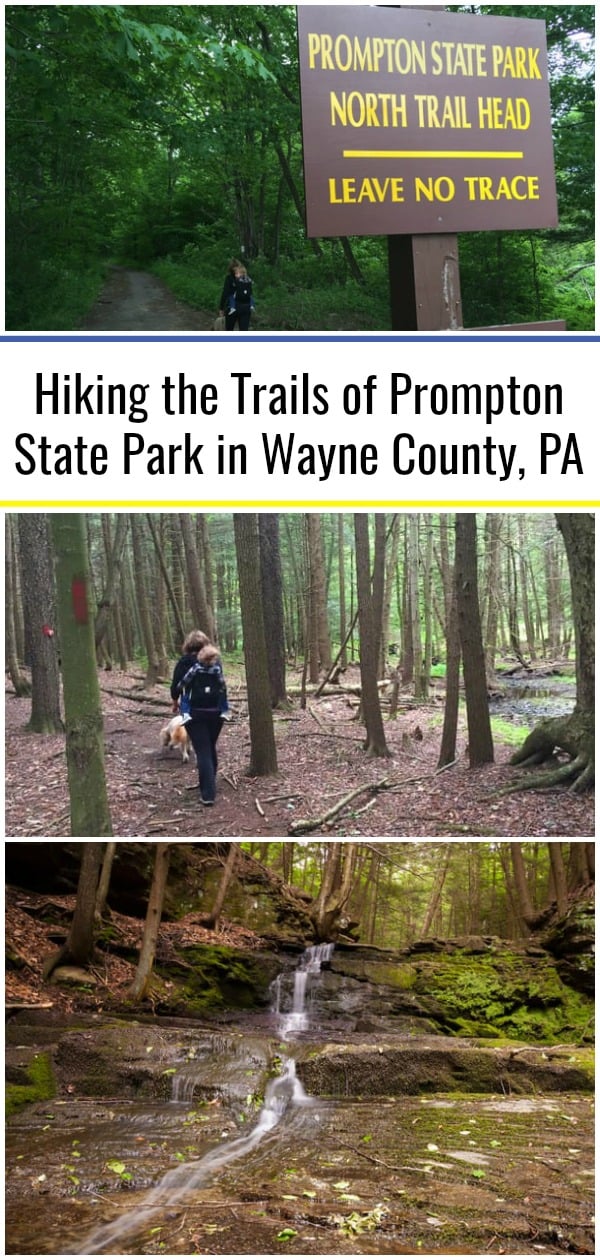 Hiking the Trails of Prompton State Park in Wayne County, PA