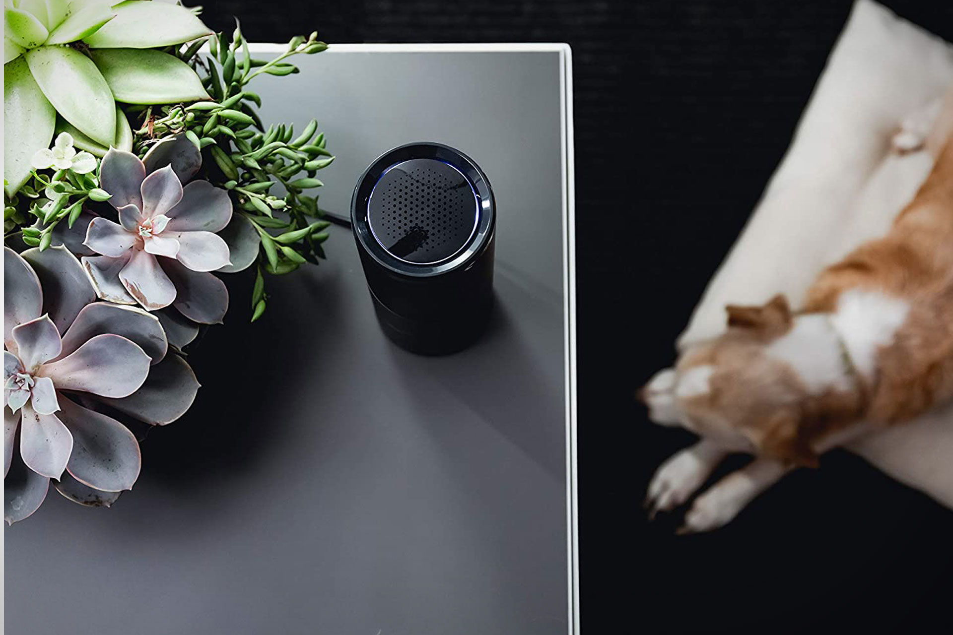 CleanLight Air Purifier Uncrate