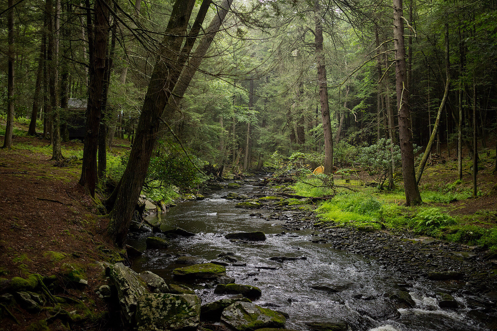 Beaver Brook Uncrate
