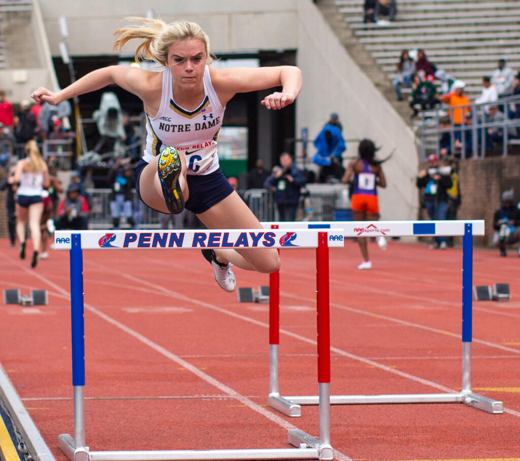 Penn Relays Notre Dame Fighting Irish Official Athletics Website