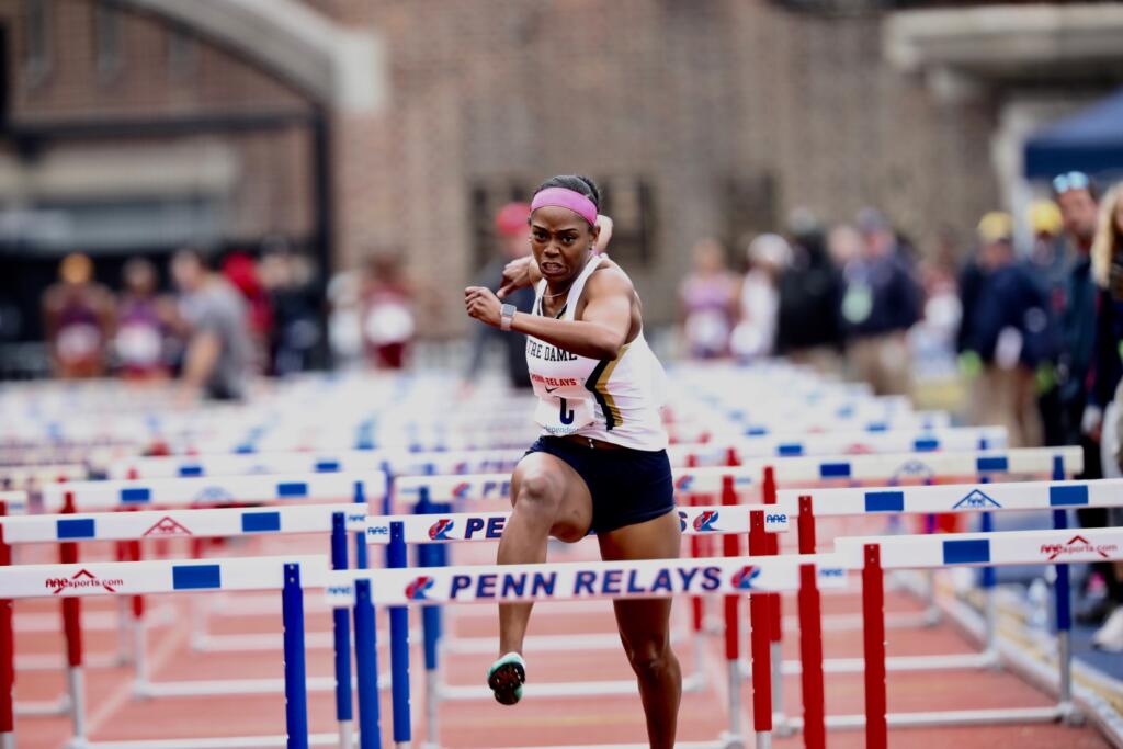 Penn Relays Notre Dame Fighting Irish Official Athletics Website