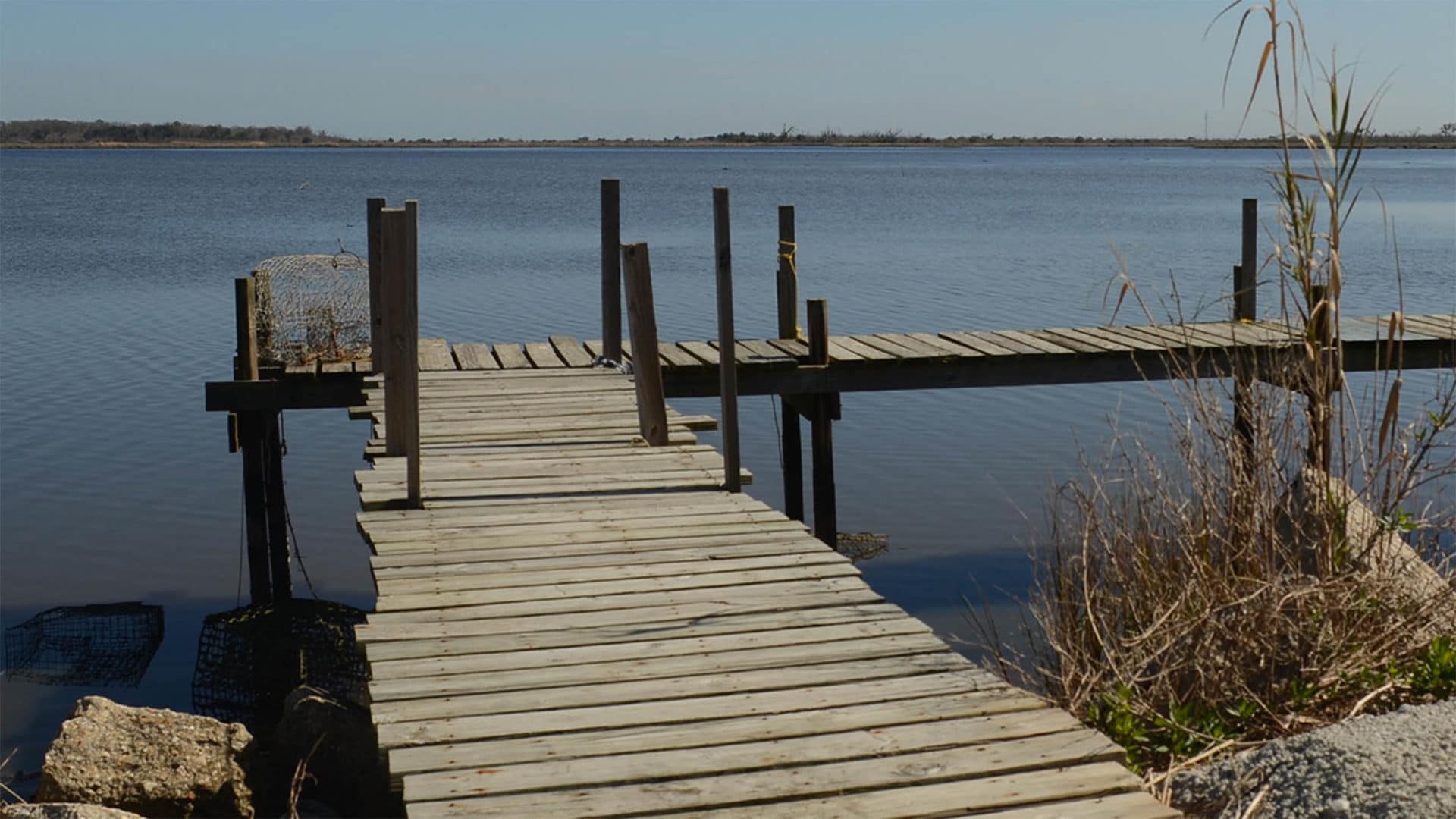 Rebuilding Louisiana's Disappearing Delta