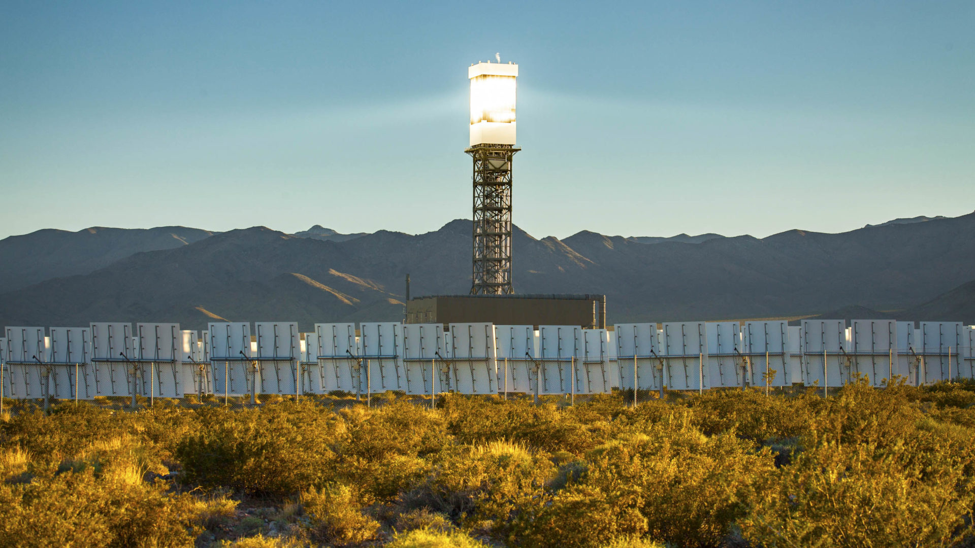 The Ivanpah Solar Plant Kills Birds. Video Surveillance Could Help.