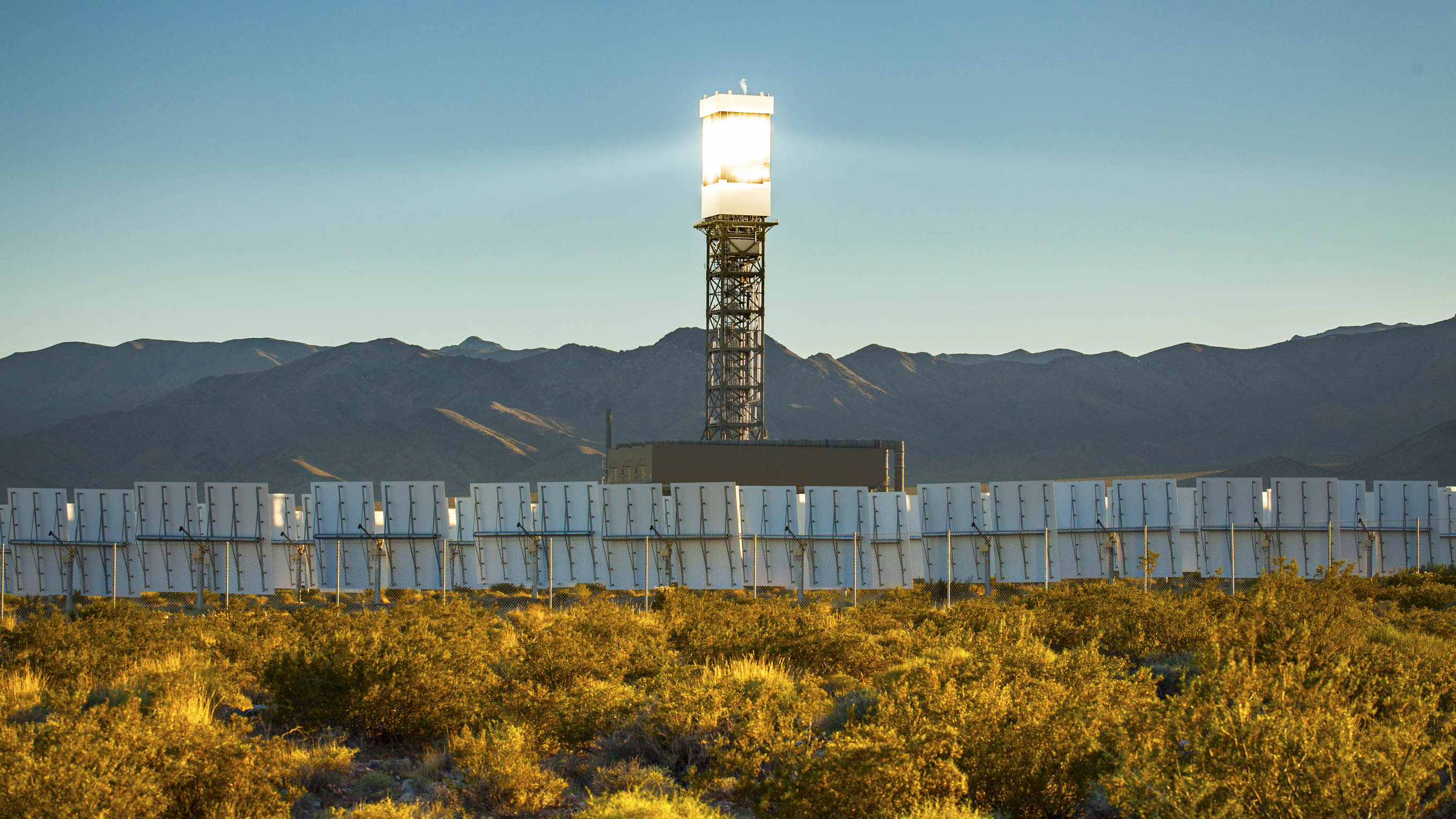 The Ivanpah Solar Plant Kills Birds. Video Surveillance Could Help.