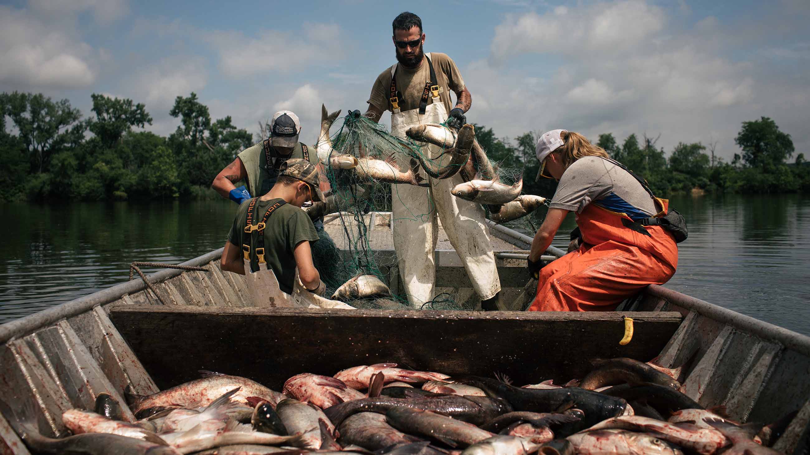 Inside the Race to Build a 1.2 Billion Fish Barricade