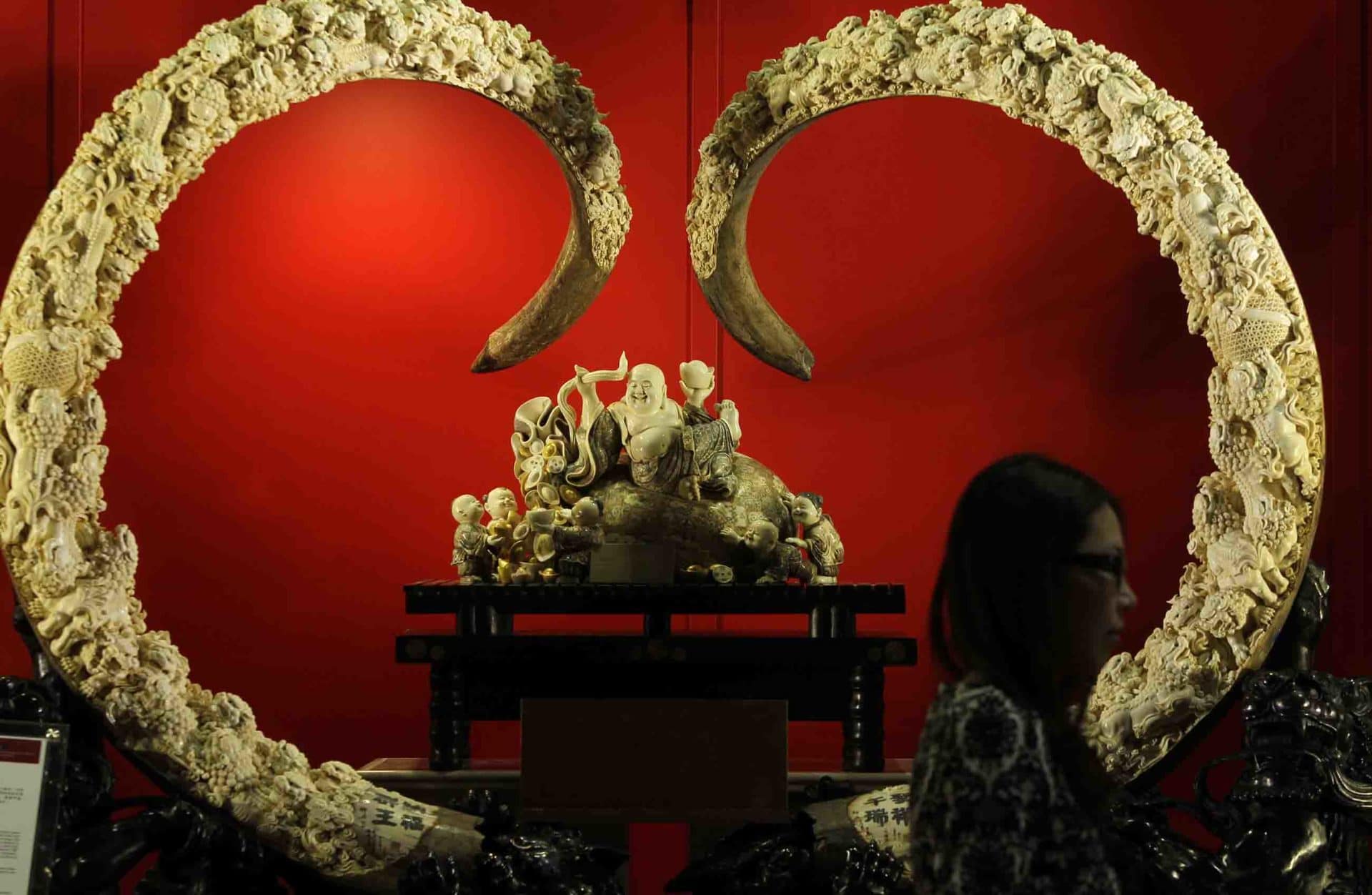 With Elephant Ivory Banned, a Brisk and Worrying Trade in Mammoth Tusks