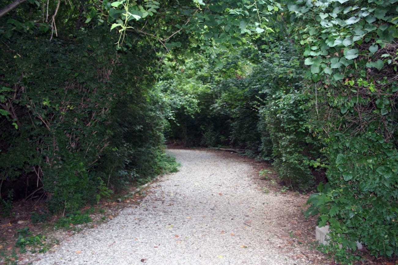 Down on the Body Farm The Forensics of Decaying Corpses