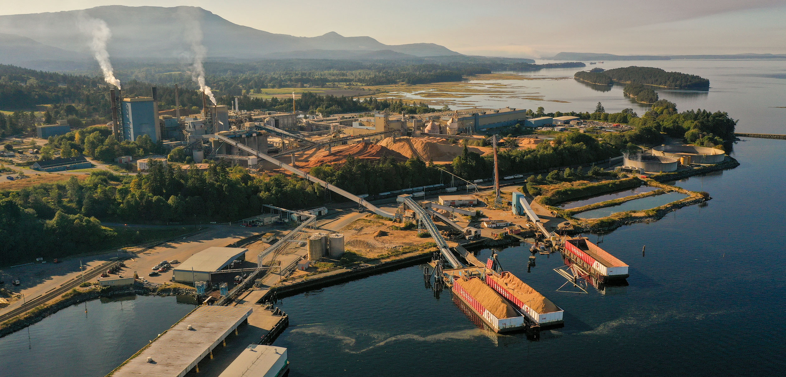 In Coastal Communities, the Toxic Legacy of Pulp and Paper Mills