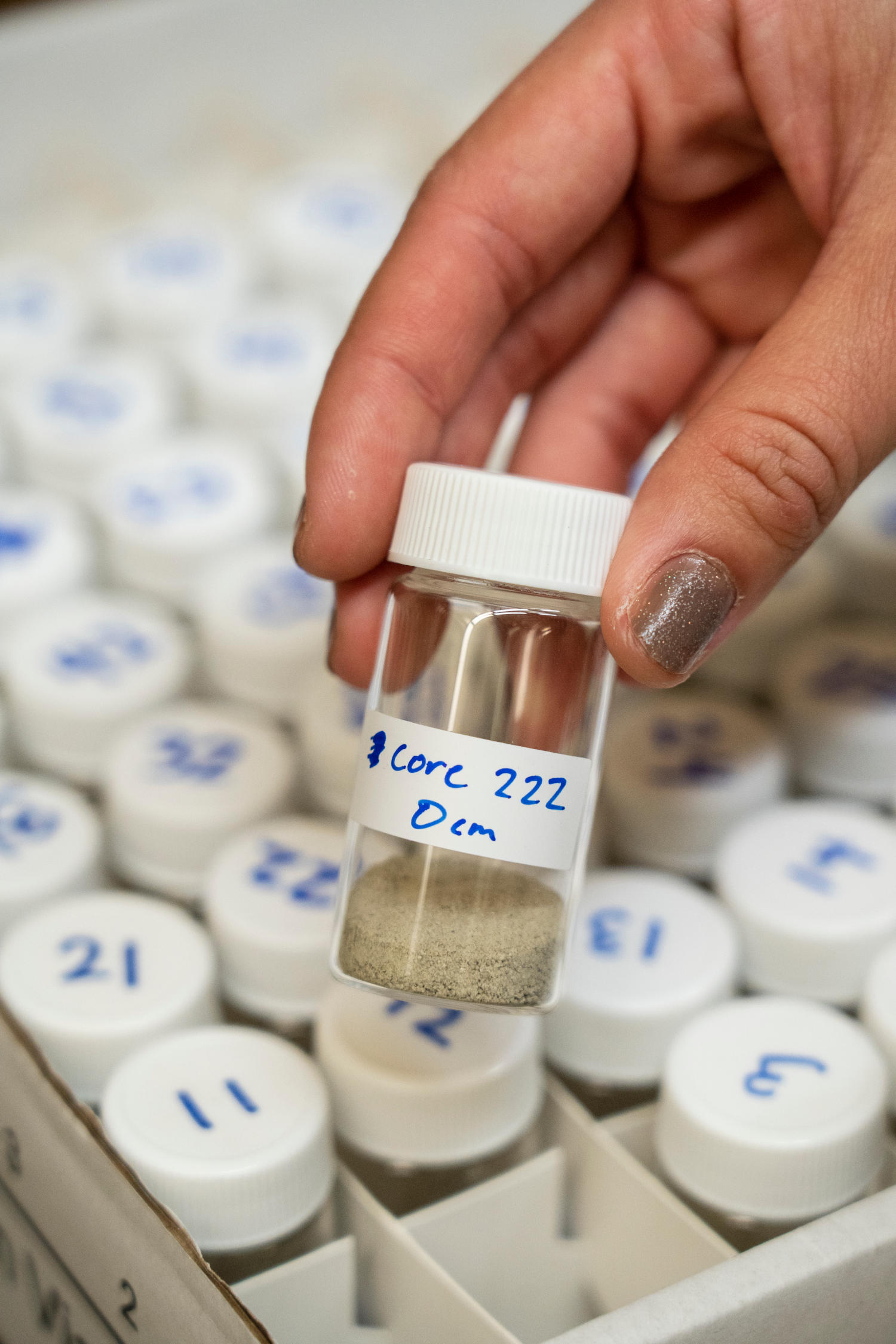 Scientists Warned of a Salton Sea Disaster. No One Listened.