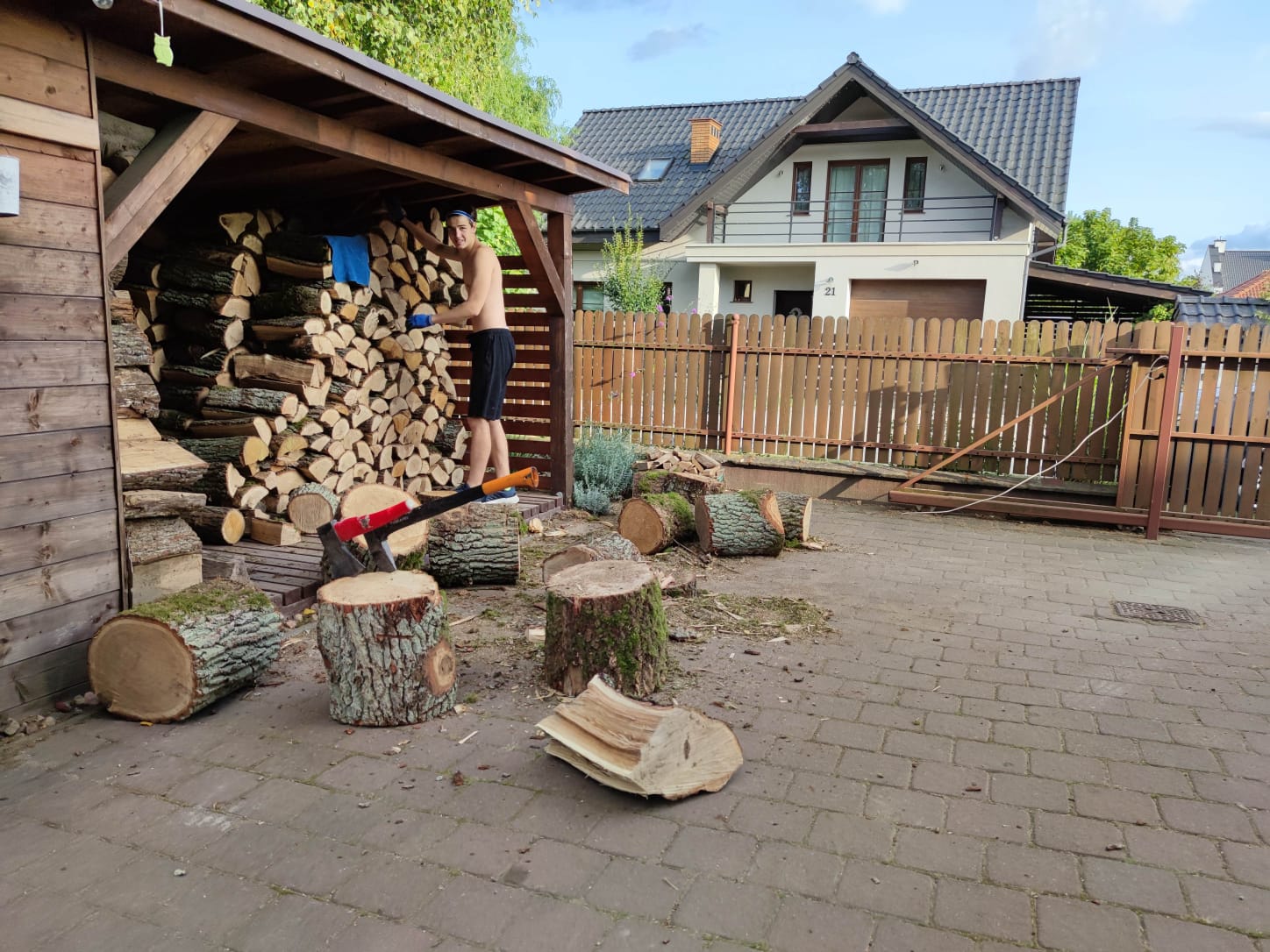 Activity. Reflection 12 Wood Splitting