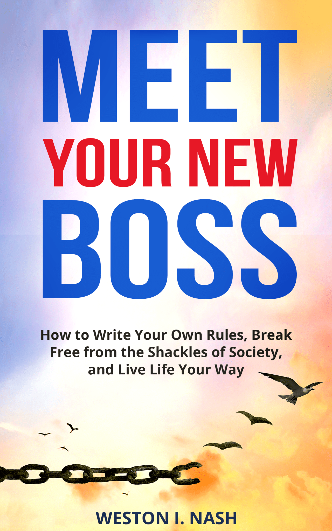 Meet_Your_New_Boss Undeniable Vision