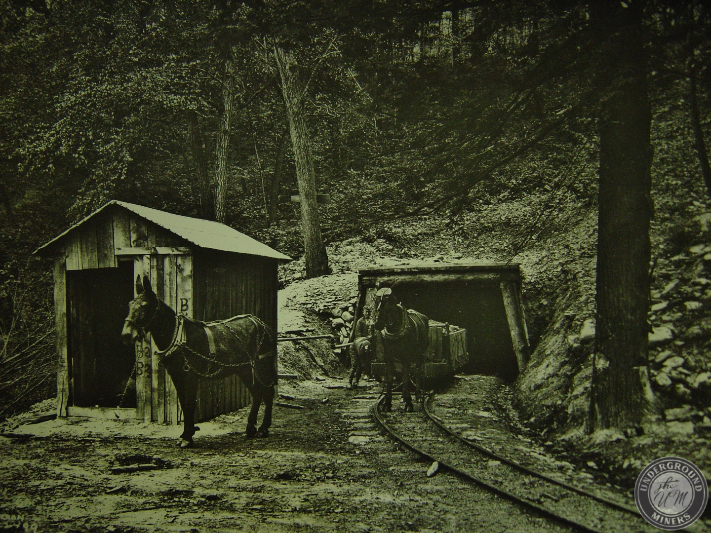 Pine Ridge Mountain Mines Underground Miners