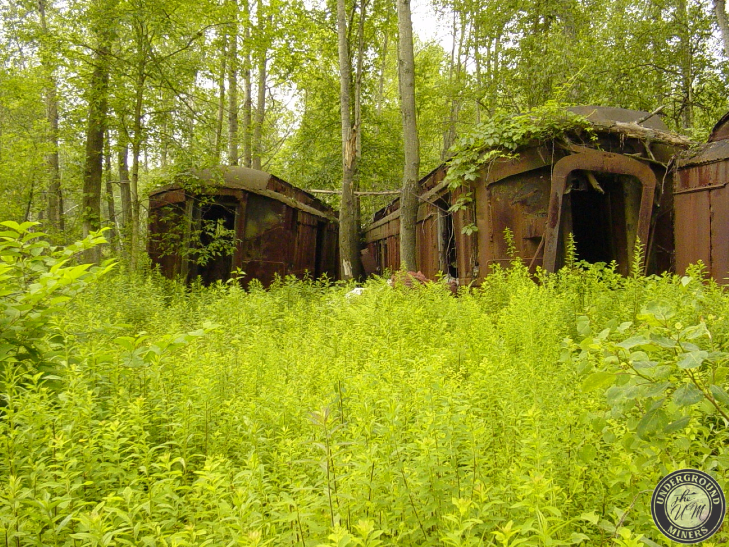NYO&W Mayfield Rail Yard (Baumann’s Scrap Yard) Underground Miners