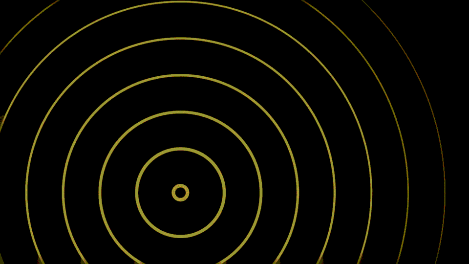 Today's special feature!