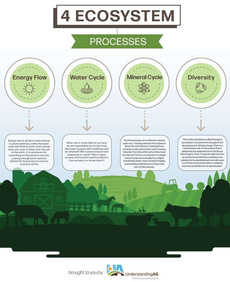 Fact Sheets Understanding Ag