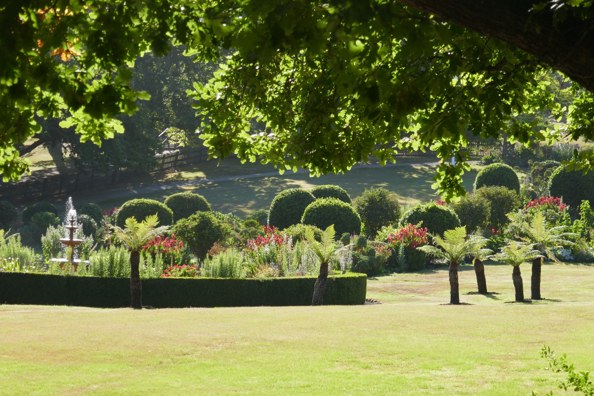 Tasmania of boats, balls and chains understanding albert