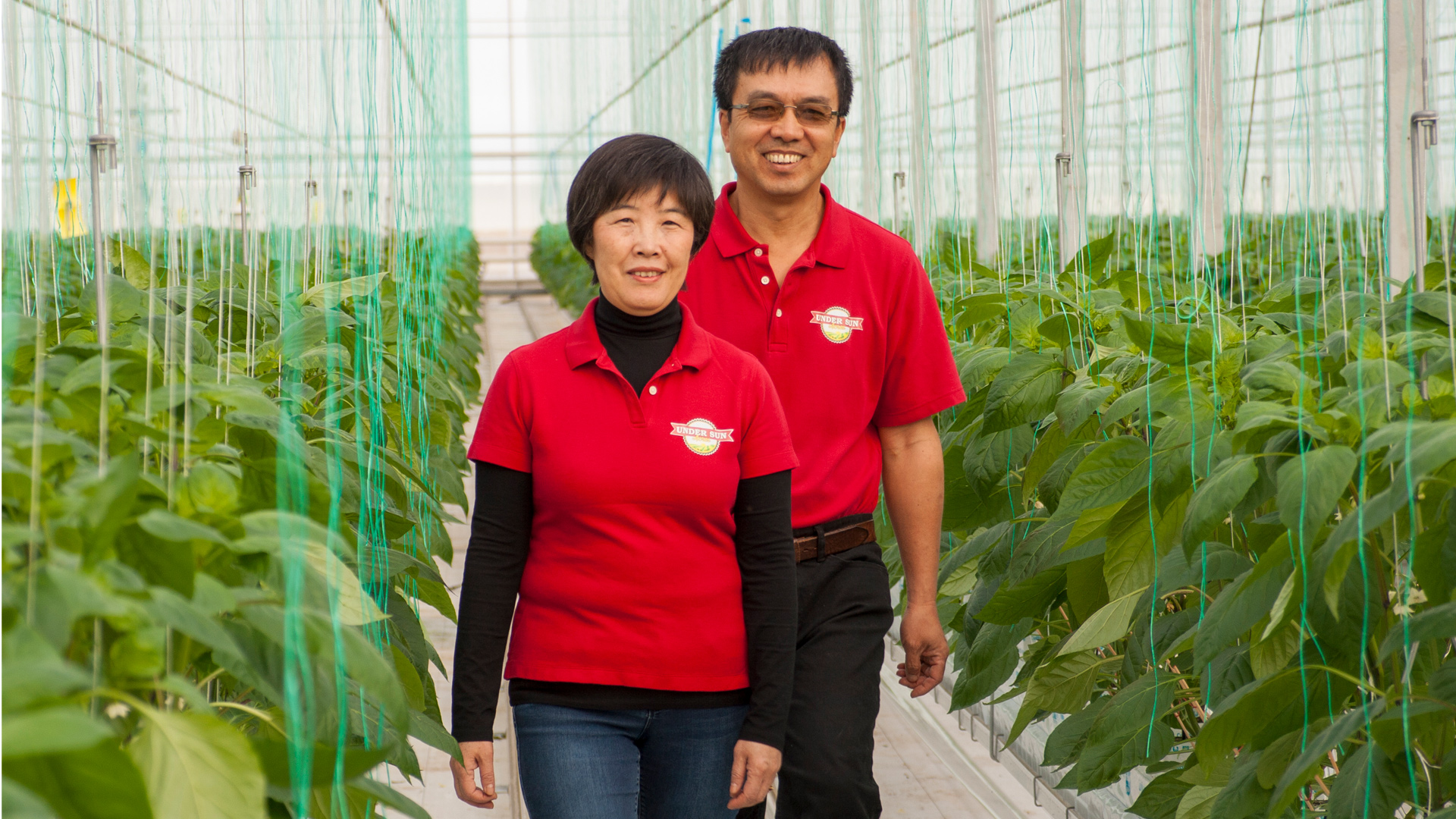 Greenhouse Growers Under Sun Acres Inc.