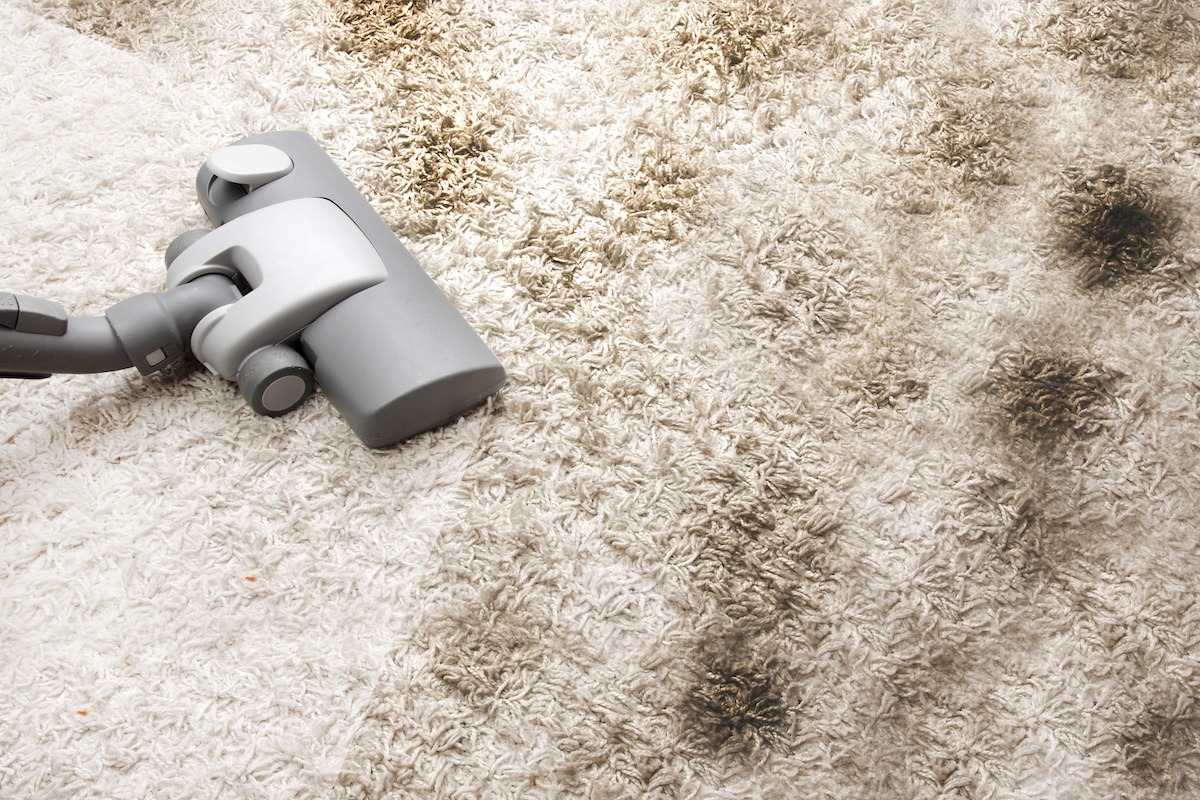 Under the Rug Floor Cleaning & Carpet Cleaning San Diego, CA