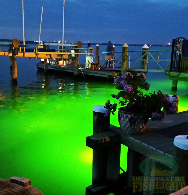 Classic Quad Fish Light For Docks Underwater Fish Light