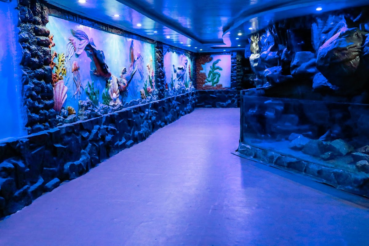 Underwater Thrills at Lokaranjan Aqua World in Mysore