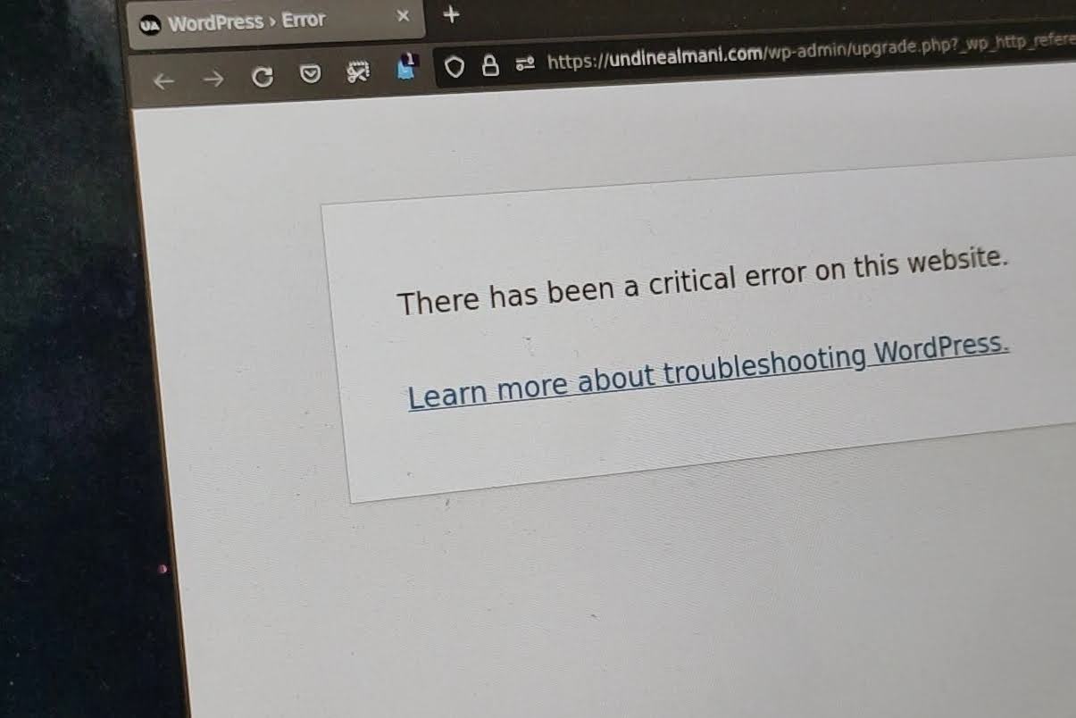 How to recover access to wpadmin when it shows a »critical error