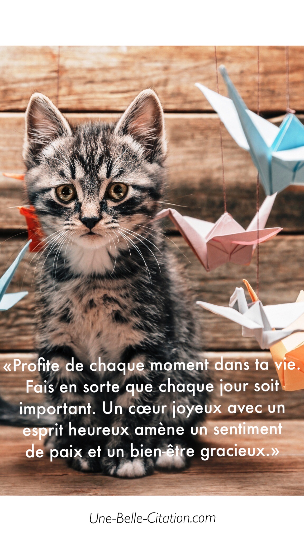 « Profite de chaque instant de ta vie. Fais en sorte que