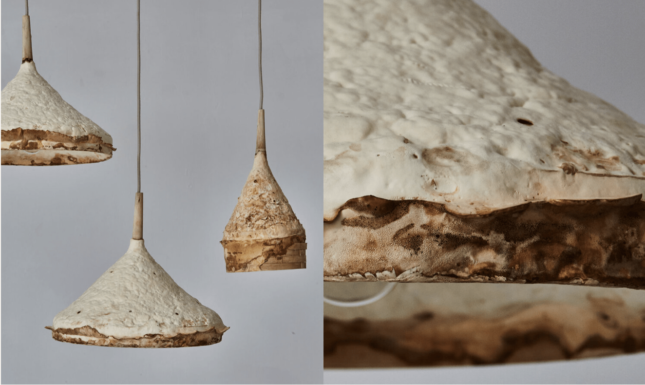 Futuristic Fungi Is Fungi Furniture the Future of Interior Design