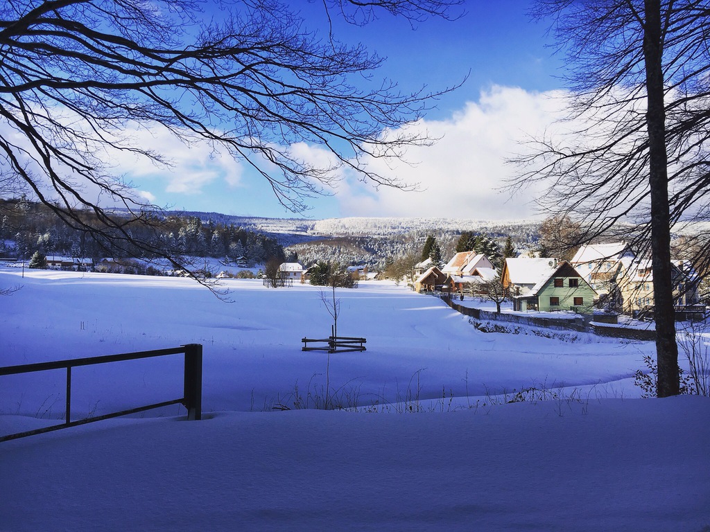 Promenade au Hohwald sous la neige Une Fille en Alsace