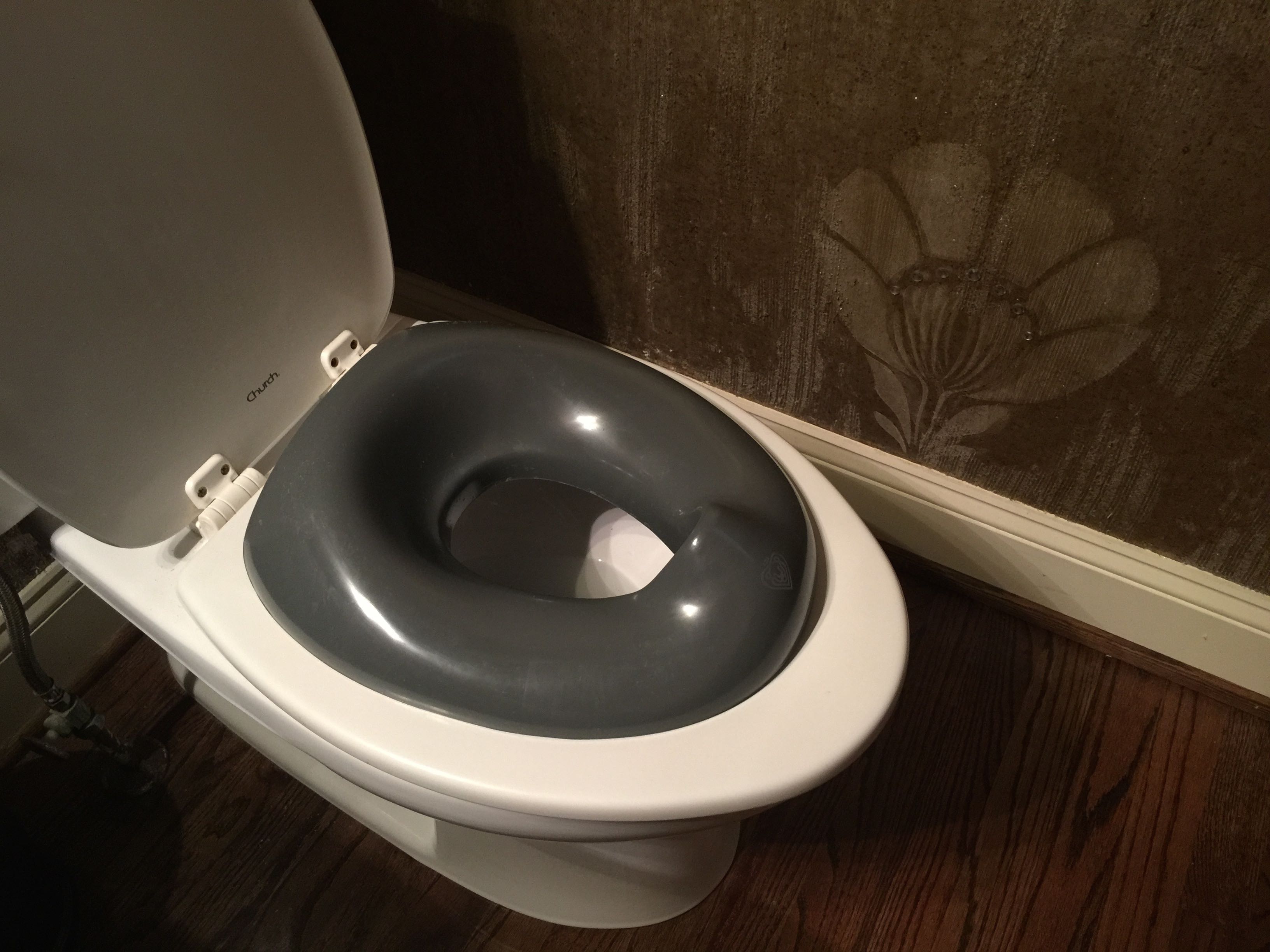 Insights from Potty Training