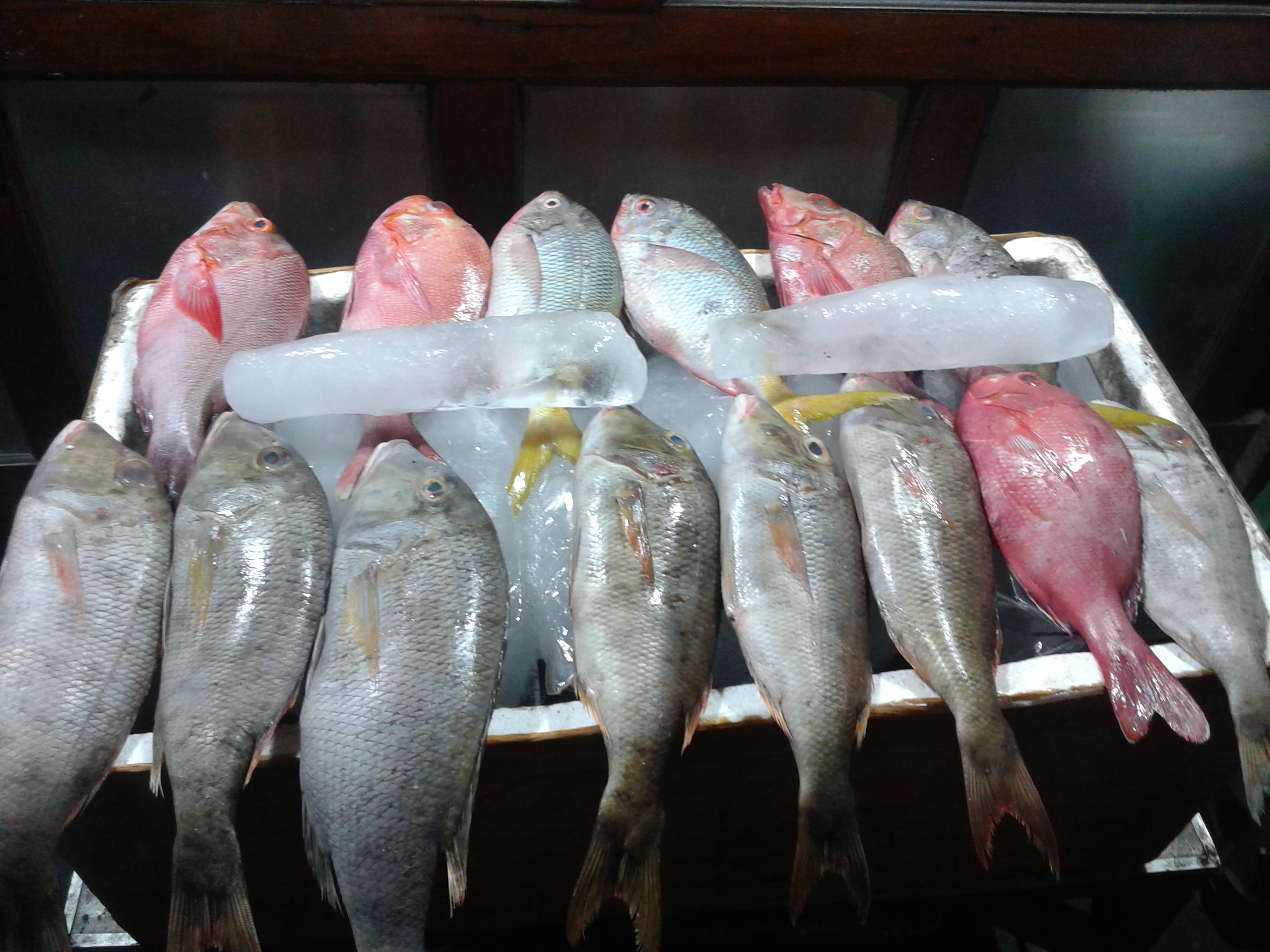 Jenis Ikan Laut Yang Enak Dibakar