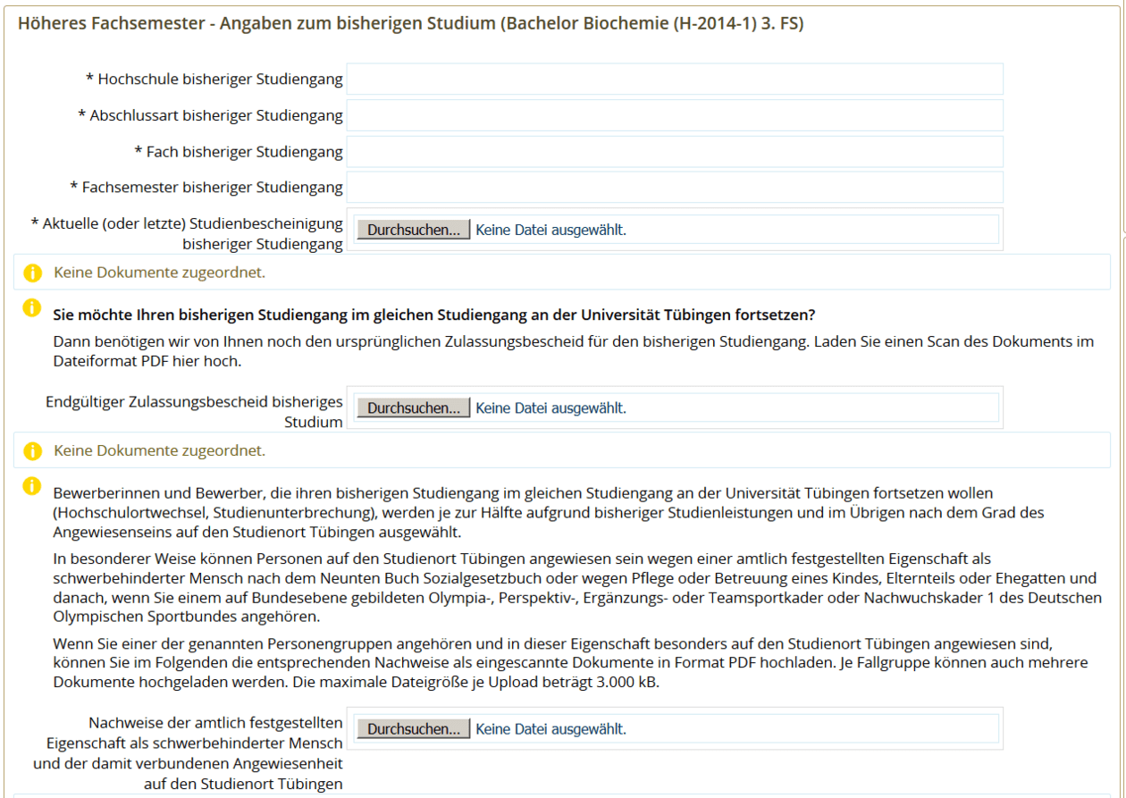 Beispielbewerbung 3. Fachsemester Biochemie Universität Tübingen