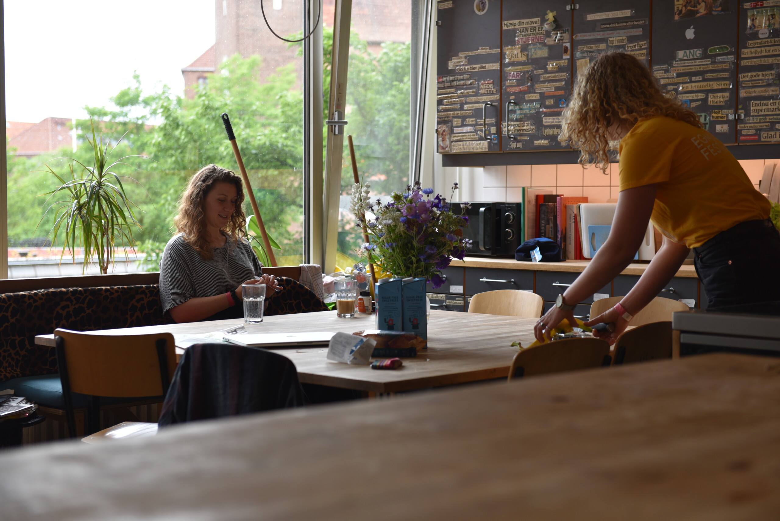 Review Egmont Kollegiet — one day a party — one day peace and quiet