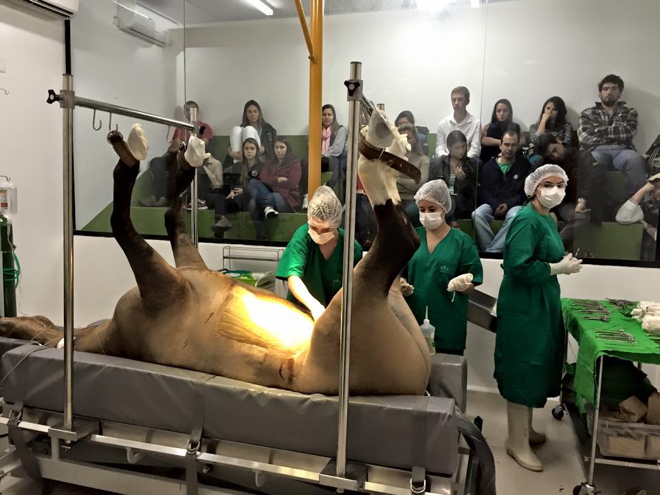 Todas Alunos Comunidade Cursos Egresso Extensão Ingresso Institucional