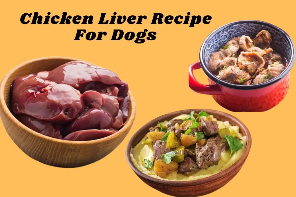 Homemade Chicken Liver Recipe For Dogs Delicious Treat