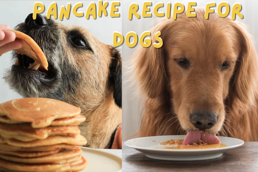 Homemade Pancake Recipe For Dogs A Tasty and Nutritious Treat Unic