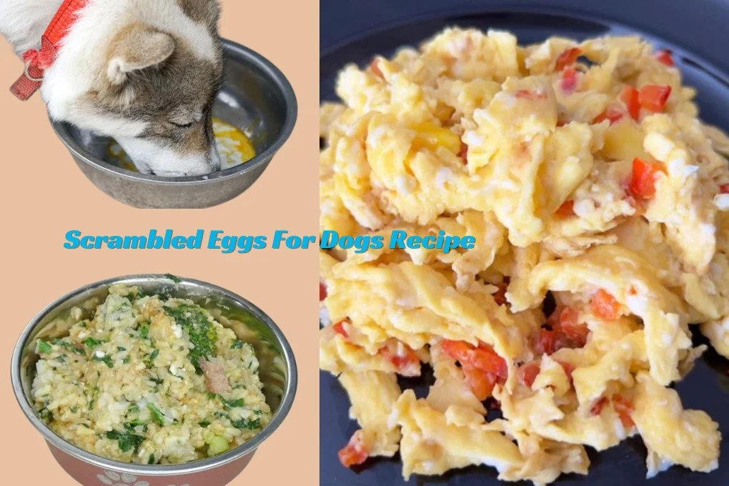 Scrambled Eggs For Dogs Recipe Unic Dog Food