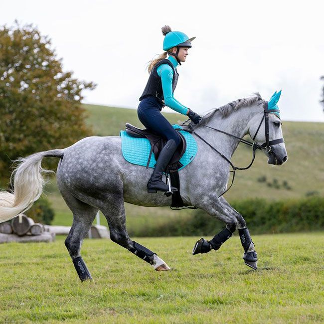 My LeMieux Base Layer Azure Unicorn Tack