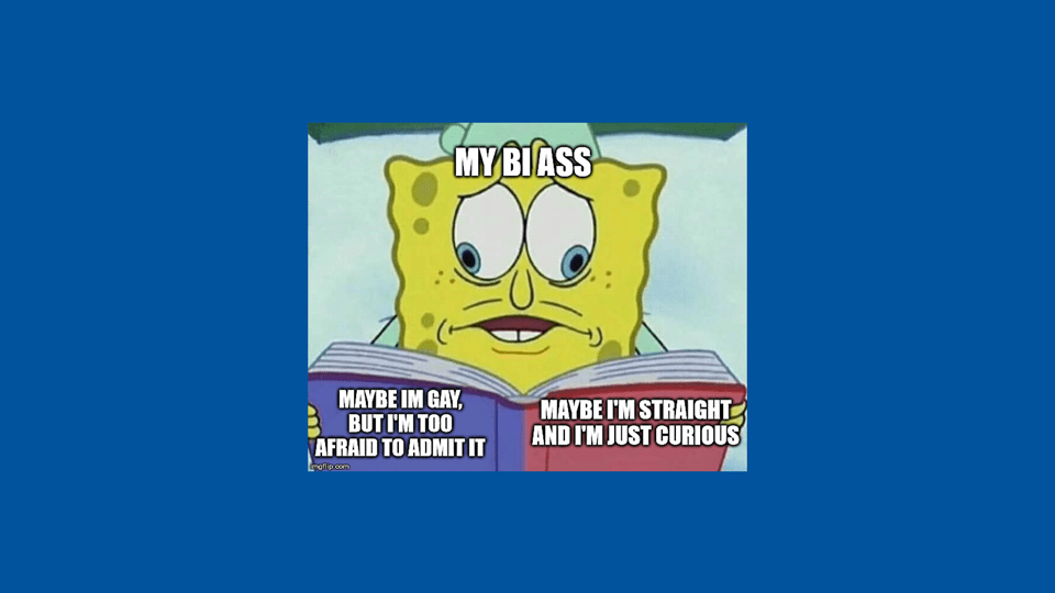 The best Bi and Pan Memes of 2019 UNICORN