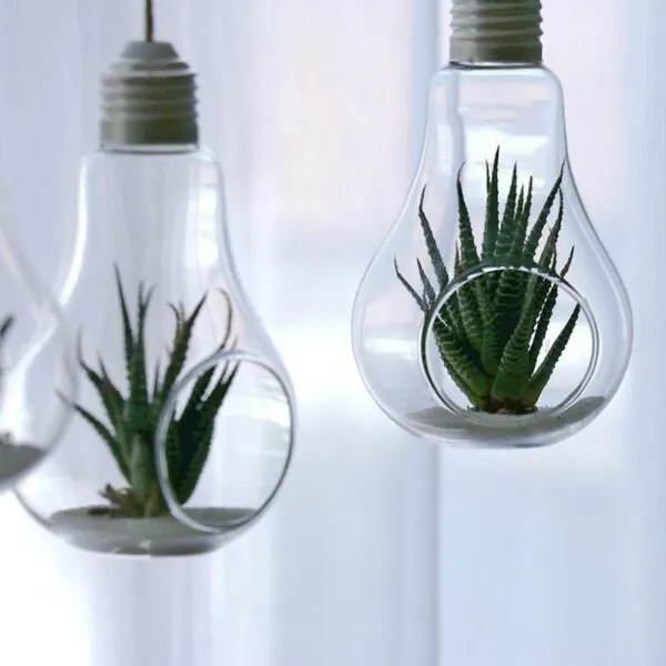 Clear Light Bulb Planter Unicun