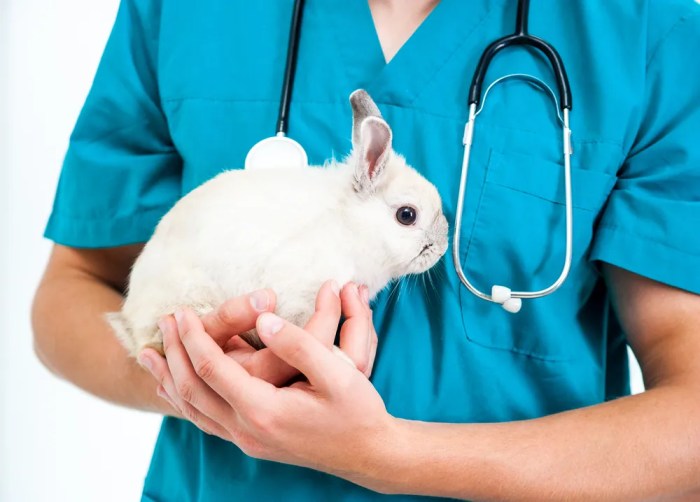 Animal Science | CALS Animal Science | CALS