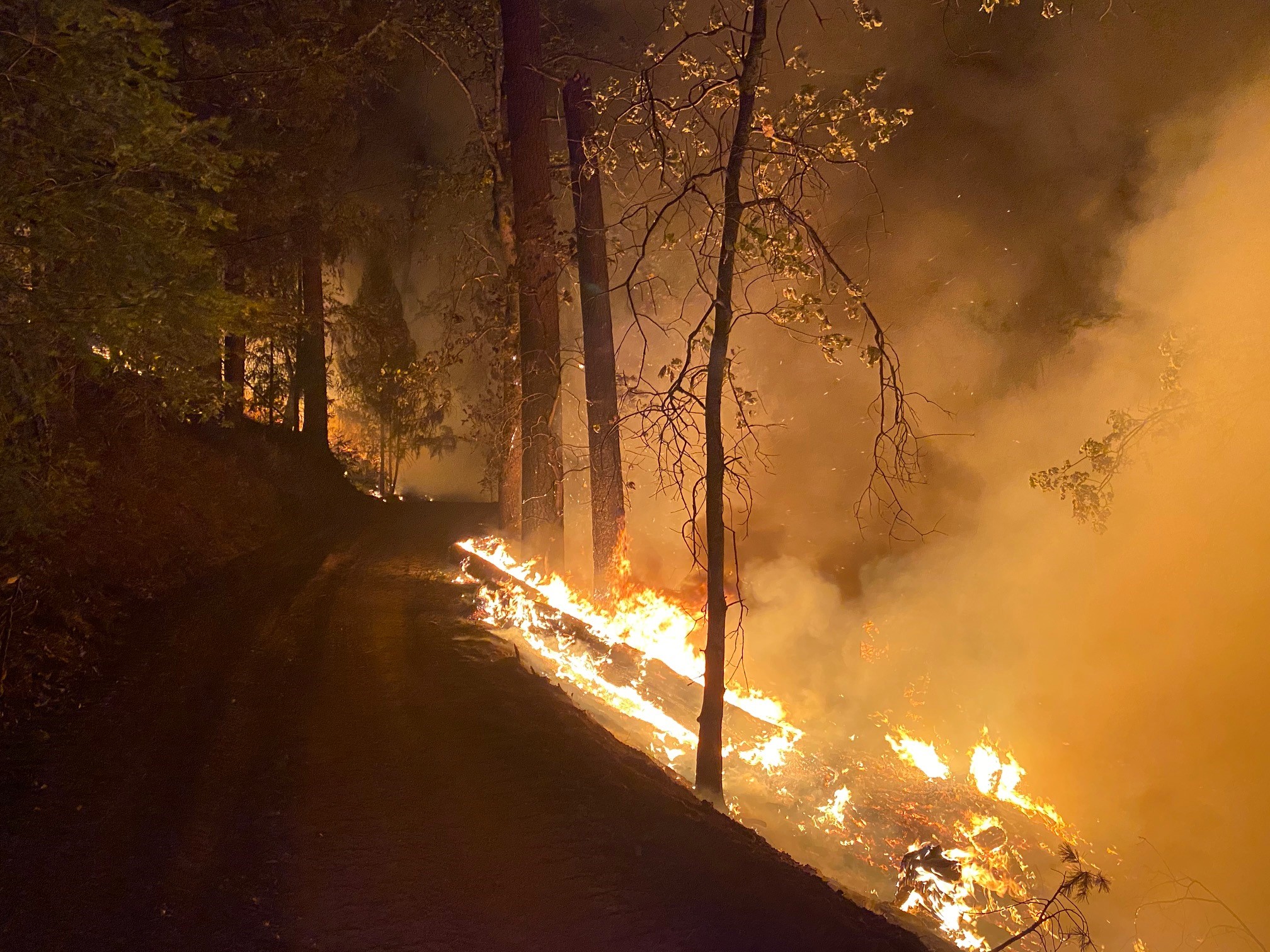 Gallery Task Force in Red Bluff, California Unified Fire Authority